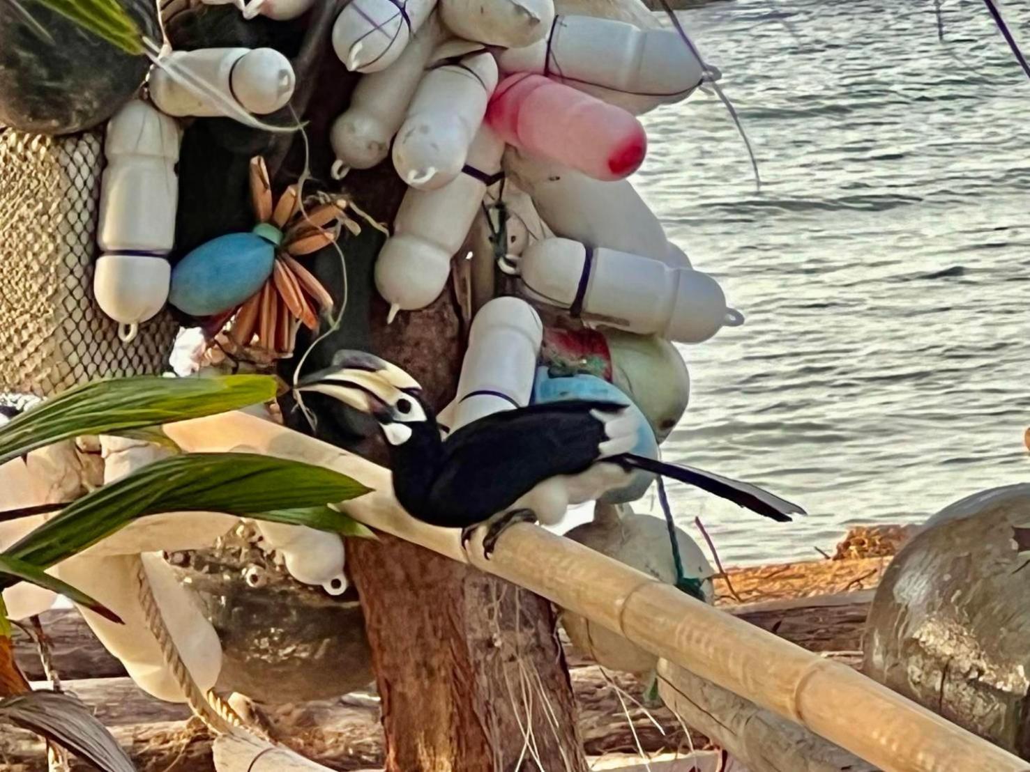 Ban Ko Nok Taphao Koh Phaluai Beach Bangalow מראה חיצוני תמונה